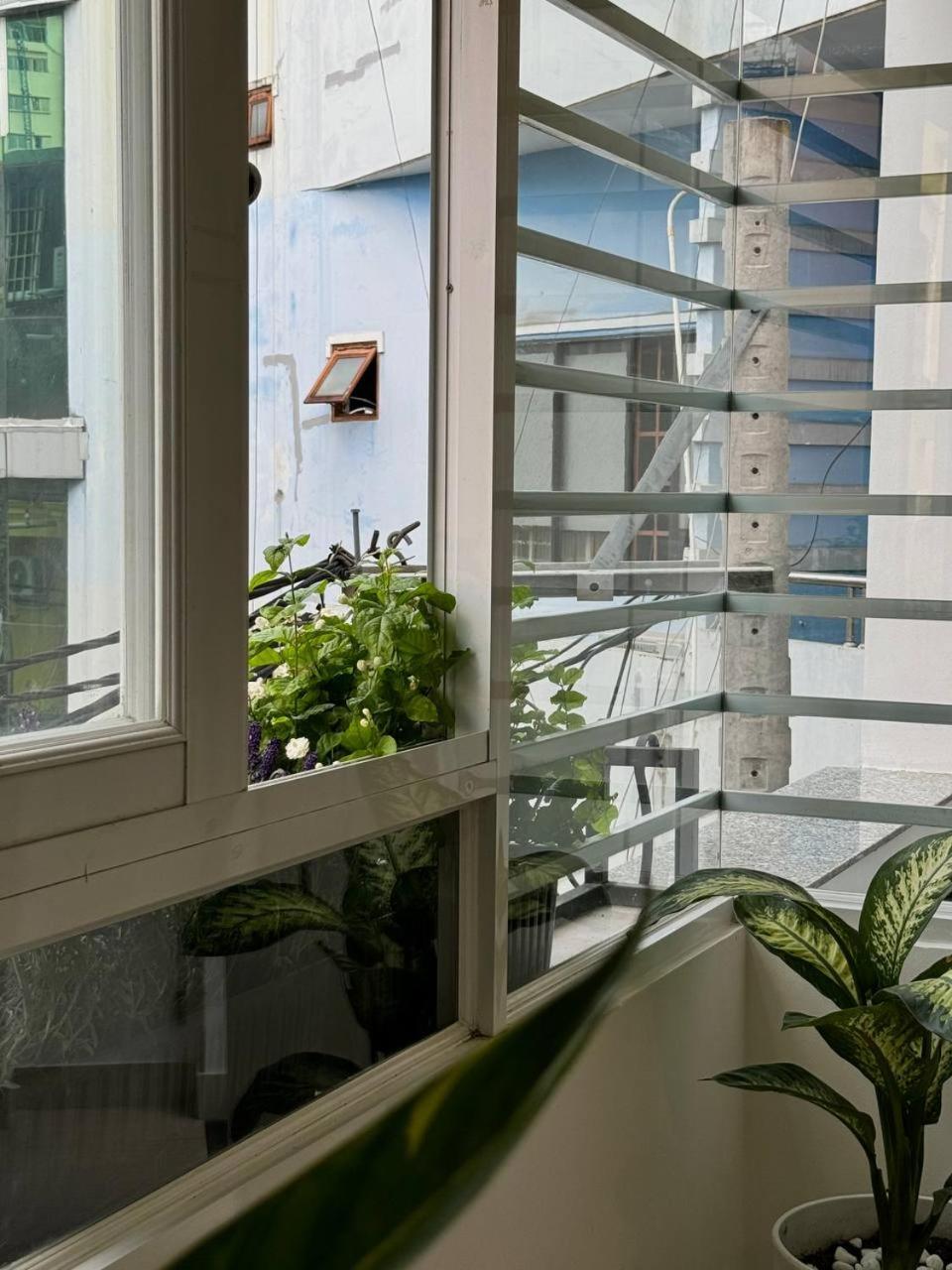 Ru Staycation Guest house *